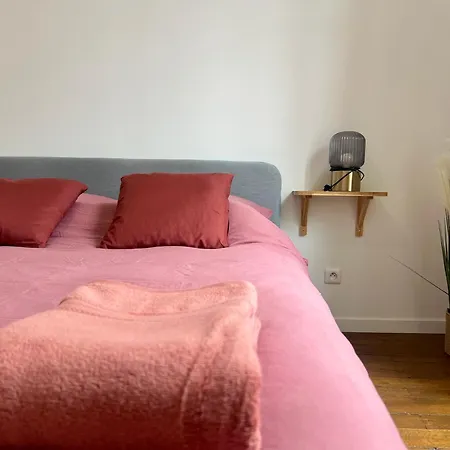 Magnifique T3 En Plein Centre De