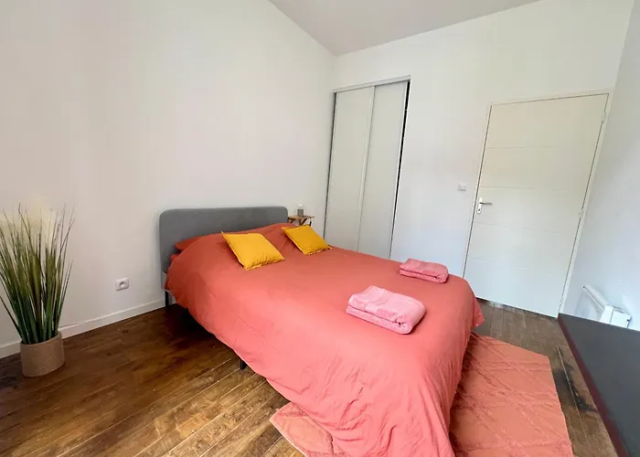 Magnifique T3 En Plein Centre De Apartment Poitiers