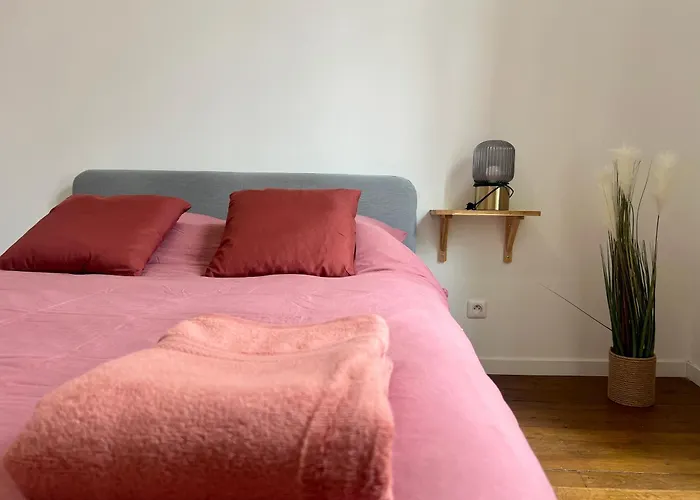 Magnifique T3 En Plein Centre De